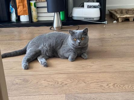 Coco's recovery story