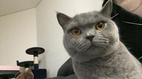 Coco's recovery story