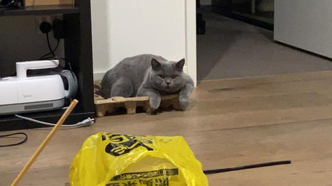 Coco's recovery story